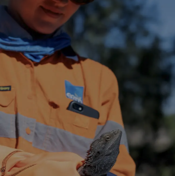 WSP buyout signals a scramble for scarce Queensland ecologists